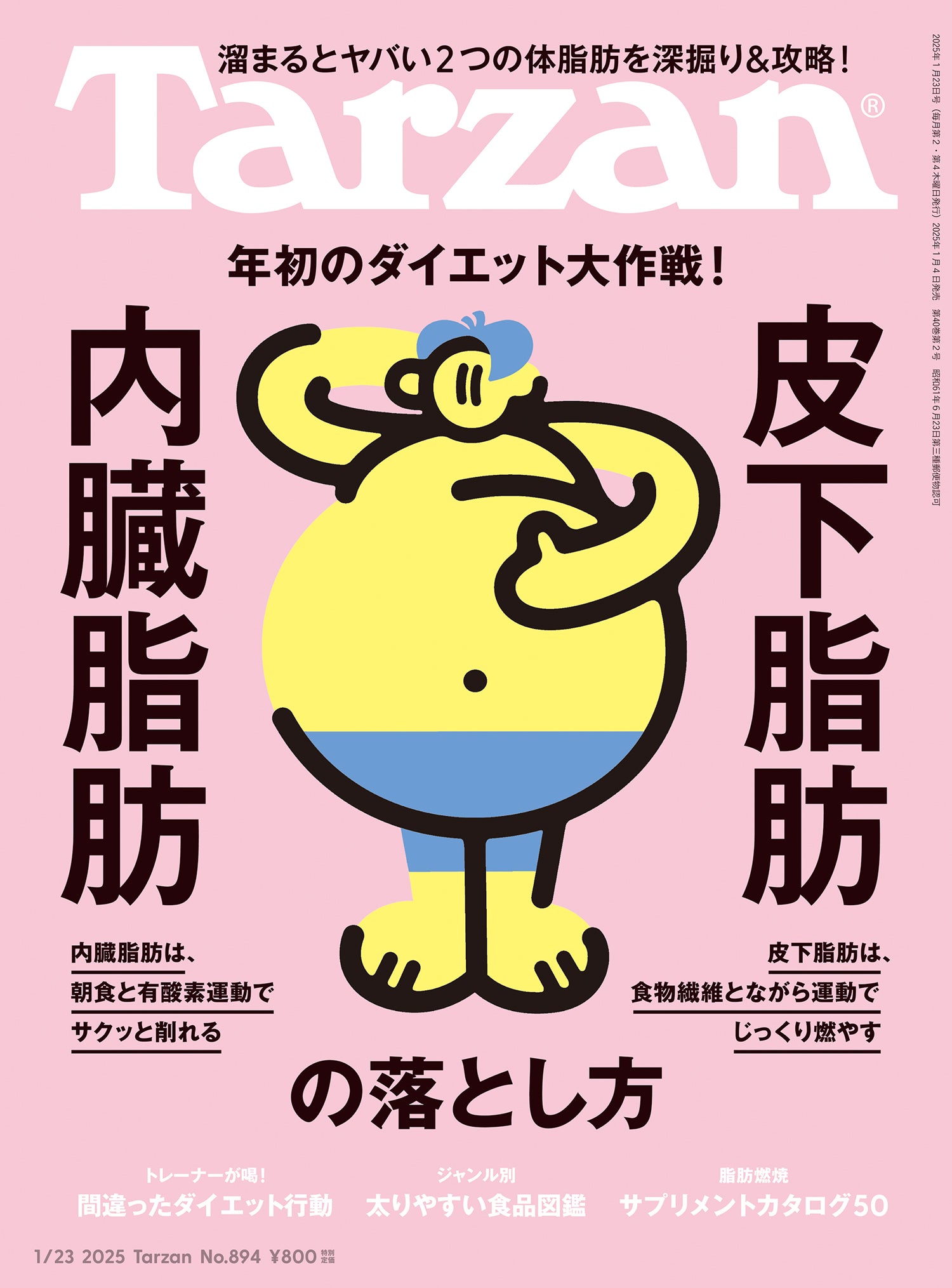 皮下脂肪 内臓脂肪の落とし方