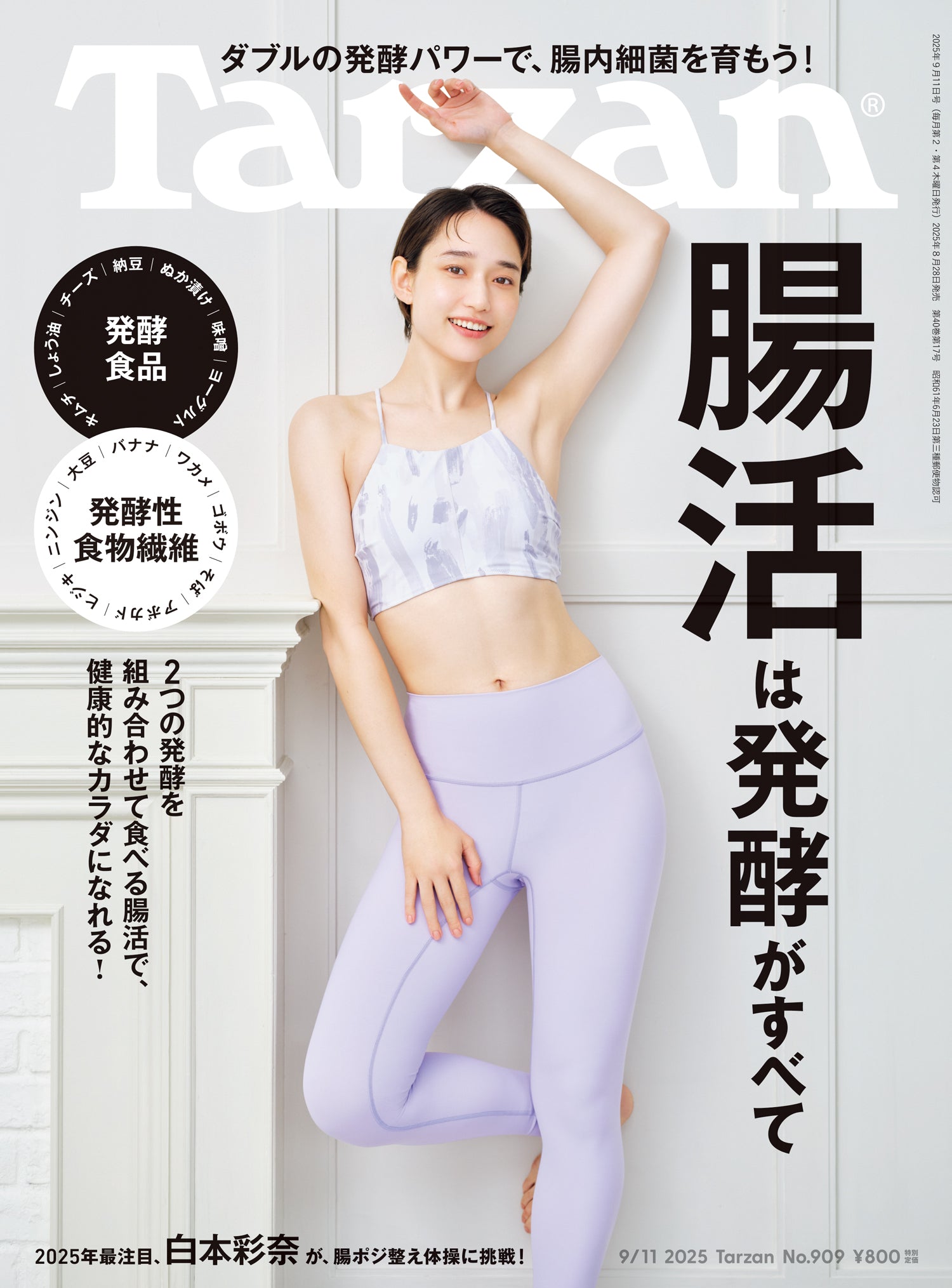 腸活は発酵がすべて