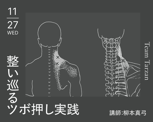 凝り固まった首・肩・腰の悩みに特化。整え巡らせるツボ押し実践｜2024年11月27日（水）開催