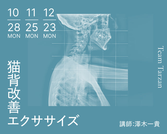 肩こり、膝痛、老け感の原因 猫背改善エクササイズ｜2024年10月〜12月 3回連続講座