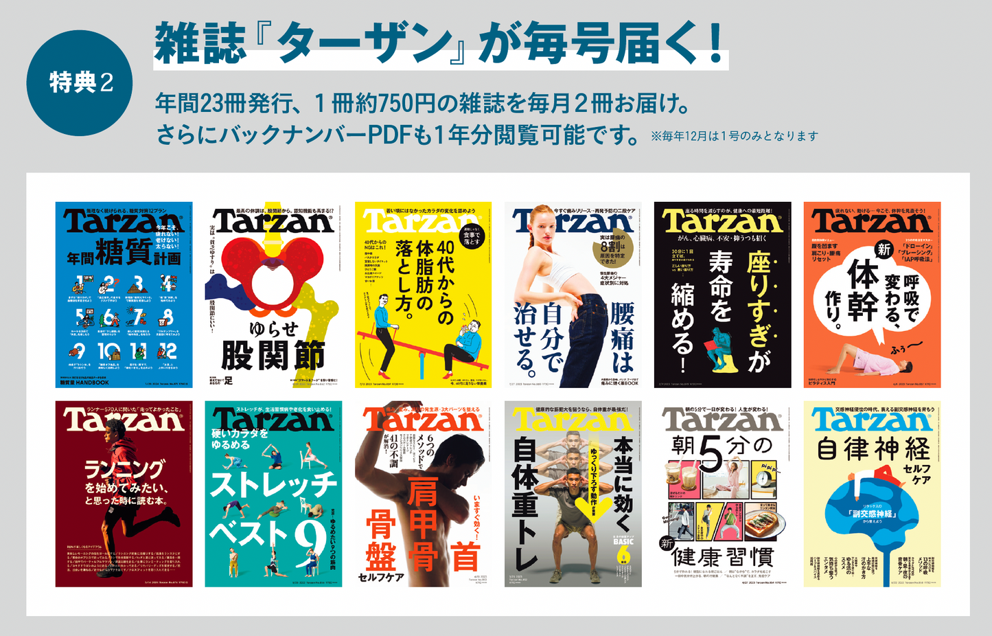 Tarzan』のサブスク【TEAM Tarzan】 – Tarzan Online Store