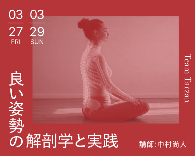 良い姿勢の解剖学と実践｜2026年3月 2回連続講座